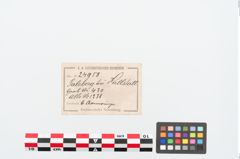Etiketten zu Bronzearmreif (NHMW-PRAE-024958)
